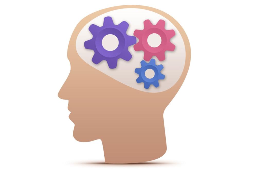 Illustration of head with cogs inside symbolising the brain