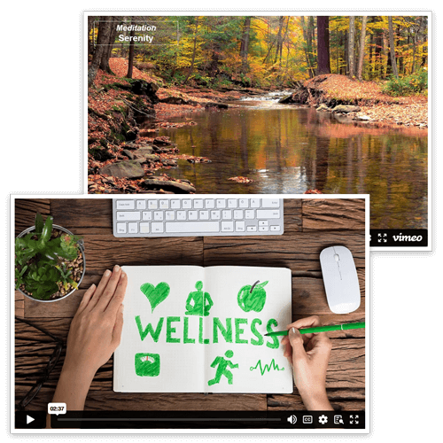 Meditation video screenshots