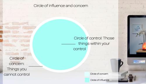 Circle diagram in video