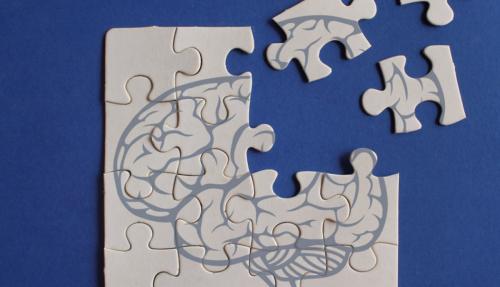 Putting final pieces of a puzzle together