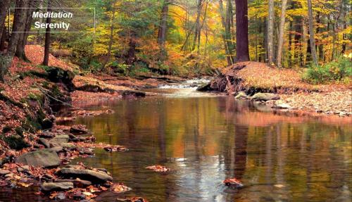 Relaxing Autumn stream